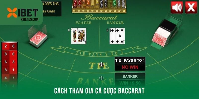 Chia sẻ cách tham gia cá cược baccarat theo đúng quy luật