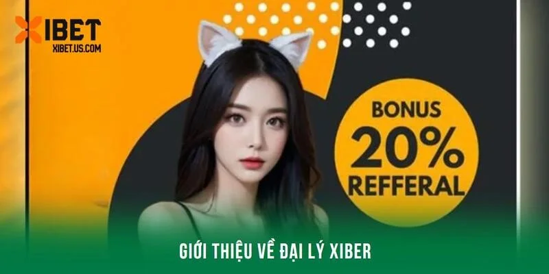 Giới thiệu một số thông tin liên quan đến đại lý XIBET