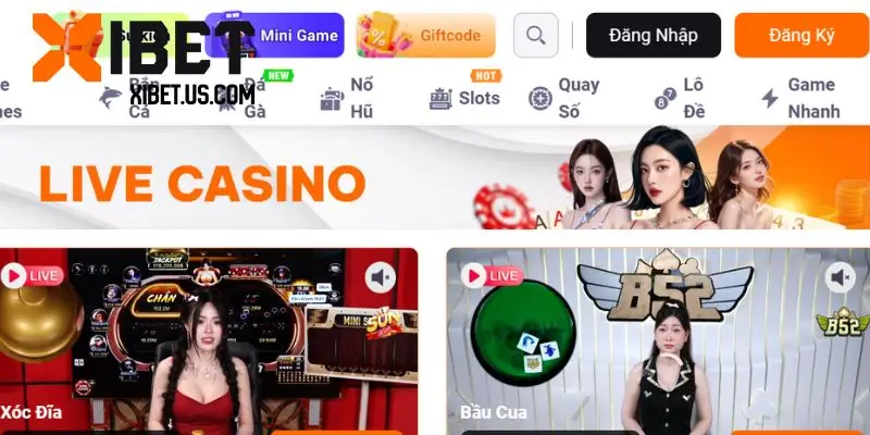 Lý do bạn nên đăng nhập nhà cái thường xuyên