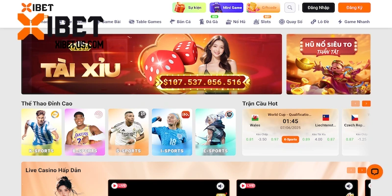 Các thông tin tổng quan về XIBET